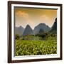China 10MKm2 Collection - Karst Moutains in Yangshuo-Philippe Hugonnard-Framed Photographic Print