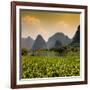 China 10MKm2 Collection - Karst Moutains in Yangshuo-Philippe Hugonnard-Framed Photographic Print