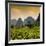 China 10MKm2 Collection - Karst Moutains in Yangshuo-Philippe Hugonnard-Framed Photographic Print