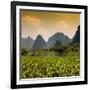 China 10MKm2 Collection - Karst Moutains in Yangshuo-Philippe Hugonnard-Framed Photographic Print