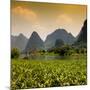 China 10MKm2 Collection - Karst Moutains in Yangshuo-Philippe Hugonnard-Mounted Photographic Print