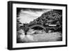 China 10MKm2 Collection - Leshan Giant Buddha Bridge-Philippe Hugonnard-Framed Photographic Print