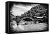 China 10MKm2 Collection - Leshan Giant Buddha Bridge-Philippe Hugonnard-Framed Stretched Canvas