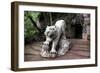 China 10MKm2 Collection - Lion - Buddhist Sculpture-Philippe Hugonnard-Framed Photographic Print