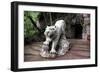 China 10MKm2 Collection - Lion - Buddhist Sculpture-Philippe Hugonnard-Framed Photographic Print