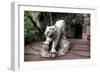 China 10MKm2 Collection - Lion - Buddhist Sculpture-Philippe Hugonnard-Framed Photographic Print