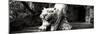 China 10MKm2 Collection - Lion - Buddhist Sculpture-Philippe Hugonnard-Mounted Photographic Print