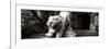 China 10MKm2 Collection - Lion - Buddhist Sculpture-Philippe Hugonnard-Framed Photographic Print