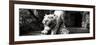 China 10MKm2 Collection - Lion - Buddhist Sculpture-Philippe Hugonnard-Framed Photographic Print