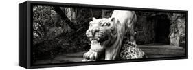 China 10MKm2 Collection - Lion - Buddhist Sculpture-Philippe Hugonnard-Framed Stretched Canvas