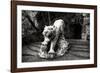 China 10MKm2 Collection - Lion - Buddhist Sculpture-Philippe Hugonnard-Framed Photographic Print