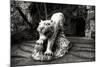 China 10MKm2 Collection - Lion - Buddhist Sculpture-Philippe Hugonnard-Mounted Photographic Print