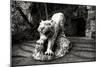 China 10MKm2 Collection - Lion - Buddhist Sculpture-Philippe Hugonnard-Mounted Photographic Print