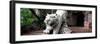 China 10MKm2 Collection - Lion - Buddhist Sculpture-Philippe Hugonnard-Framed Photographic Print