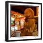 China 10MKm2 Collection - Lion Stands Guard-Philippe Hugonnard-Framed Photographic Print