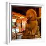 China 10MKm2 Collection - Lion Stands Guard-Philippe Hugonnard-Framed Photographic Print