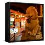 China 10MKm2 Collection - Lion Stands Guard-Philippe Hugonnard-Framed Stretched Canvas