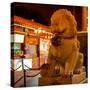 China 10MKm2 Collection - Lion Stands Guard-Philippe Hugonnard-Stretched Canvas