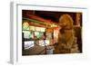 China 10MKm2 Collection - Lion Stands Guard-Philippe Hugonnard-Framed Photographic Print