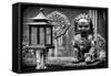 China 10MKm2 Collection - Lion Statue - Forbidden City-Philippe Hugonnard-Framed Stretched Canvas