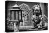 China 10MKm2 Collection - Lion Statue - Forbidden City-Philippe Hugonnard-Stretched Canvas