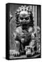 China 10MKm2 Collection - Lion Statue - Forbidden City-Philippe Hugonnard-Framed Stretched Canvas