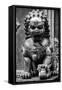 China 10MKm2 Collection - Lion Statue - Forbidden City-Philippe Hugonnard-Framed Stretched Canvas