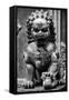 China 10MKm2 Collection - Lion Statue - Forbidden City-Philippe Hugonnard-Framed Stretched Canvas