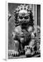 China 10MKm2 Collection - Lion Statue - Forbidden City-Philippe Hugonnard-Framed Photographic Print