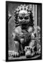 China 10MKm2 Collection - Lion Statue - Forbidden City-Philippe Hugonnard-Framed Photographic Print