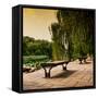 China 10MKm2 Collection - Lotus Flowers - Beihai Park - Beijing-Philippe Hugonnard-Framed Stretched Canvas