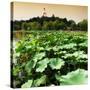 China 10MKm2 Collection - Lotus Flowers - Beihai Park - Beijing-Philippe Hugonnard-Stretched Canvas