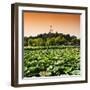 China 10MKm2 Collection - Lotus Flowers - Beihai Park - Beijing-Philippe Hugonnard-Framed Photographic Print