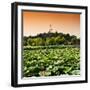 China 10MKm2 Collection - Lotus Flowers - Beihai Park - Beijing-Philippe Hugonnard-Framed Photographic Print