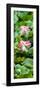 China 10MKm2 Collection - Lotus Flowers Garden-Philippe Hugonnard-Framed Photographic Print