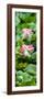 China 10MKm2 Collection - Lotus Flowers Garden-Philippe Hugonnard-Framed Photographic Print
