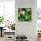 China 10MKm2 Collection - Lotus Flowers-Philippe Hugonnard-Framed Stretched Canvas displayed on a wall