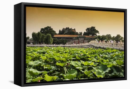 China 10MKm2 Collection - Lotus Flowers-Philippe Hugonnard-Framed Stretched Canvas