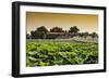 China 10MKm2 Collection - Lotus Flowers-Philippe Hugonnard-Framed Photographic Print