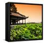 China 10MKm2 Collection - Lotus Garden-Philippe Hugonnard-Framed Stretched Canvas