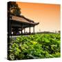 China 10MKm2 Collection - Lotus Garden-Philippe Hugonnard-Stretched Canvas