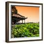 China 10MKm2 Collection - Lotus Garden-Philippe Hugonnard-Framed Photographic Print