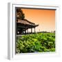 China 10MKm2 Collection - Lotus Garden-Philippe Hugonnard-Framed Photographic Print