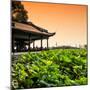 China 10MKm2 Collection - Lotus Garden-Philippe Hugonnard-Mounted Photographic Print