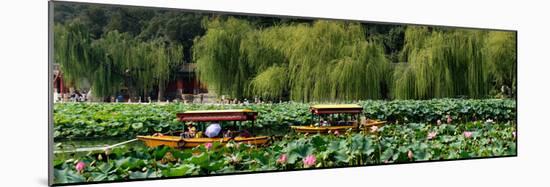 China 10MKm2 Collection - Lotus Lake - Beijing-Philippe Hugonnard-Mounted Photographic Print