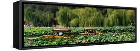 China 10MKm2 Collection - Lotus Lake - Beijing-Philippe Hugonnard-Framed Stretched Canvas