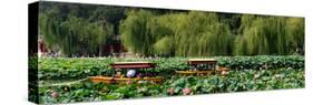 China 10MKm2 Collection - Lotus Lake - Beijing-Philippe Hugonnard-Stretched Canvas