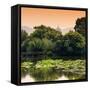 China 10MKm2 Collection - Lotus Lake-Philippe Hugonnard-Framed Stretched Canvas