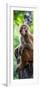 China 10MKm2 Collection - Monkey Portrait-Philippe Hugonnard-Framed Photographic Print