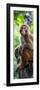 China 10MKm2 Collection - Monkey Portrait-Philippe Hugonnard-Framed Photographic Print